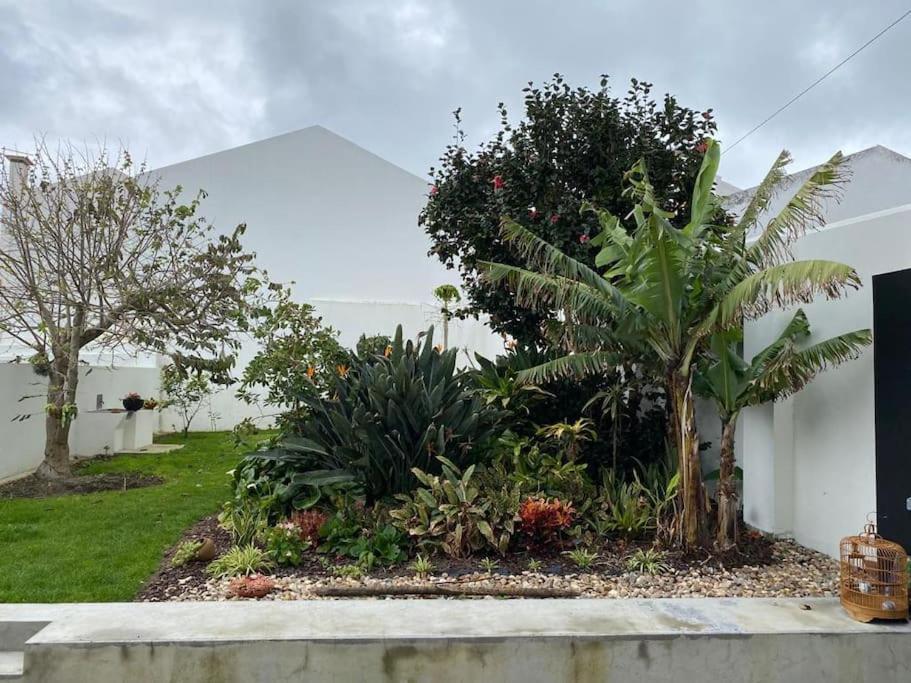 Ilheu A Vista - Espaco De Charme Com Jardim Privado Vila Franca do Campo Exteriör bild